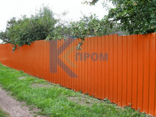 RAL2004