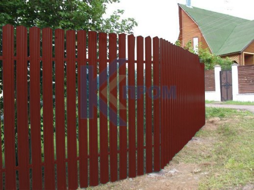 RAL3011